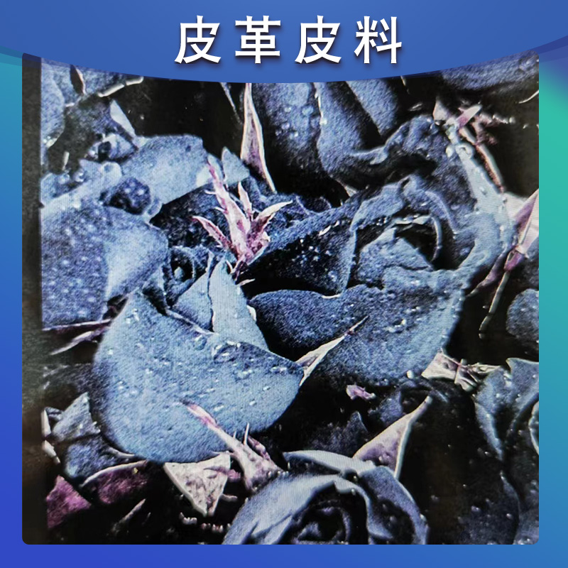 新型服装真皮印花